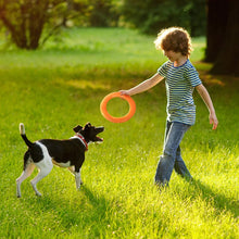 Colourful Ring Puller for Pets