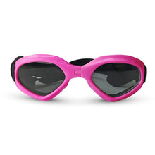 Pets Wear Sunglasses