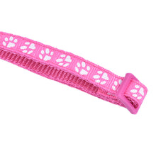 Comfy Collars for Pets