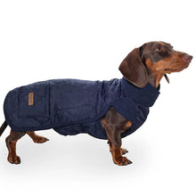 Quilted Winter Jacket For Small Dogs