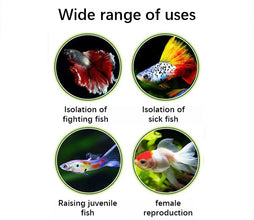 Acrylic Fish Breeding