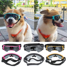 Retro Dog Sports Googles