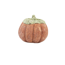 Natural Hamster Chew Treat