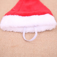 Santa Claus Inspired Hat for Pets