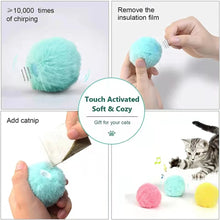 Electric Catnip Training Toy for Cats