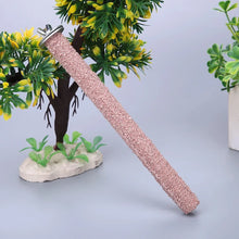 Colourful Parrot Claw Stick