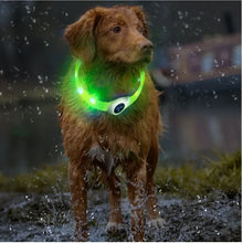 LED Luminous Dog Collar Waterproof