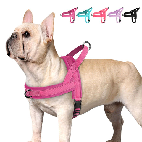 Nylon Padded Dog & Cat Harness Vest – Adjustable No-Pull for Small Breeds