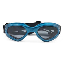 Pets Wear Sunglasses