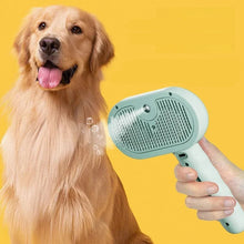 Pet Steam Brush
