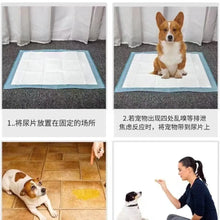 Disposable Pet Training Pee Pads