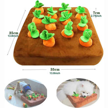 Carrot Inspire Toy for Pets