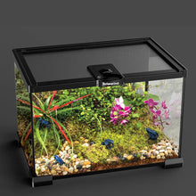 1 Piece Reptile Pet Glass Tank