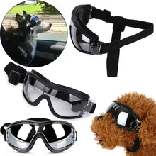 Active Dog Googles