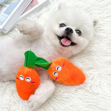 Carrot Squeaky Plush Toy