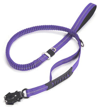 Retractable Leash for Cats and Dogs