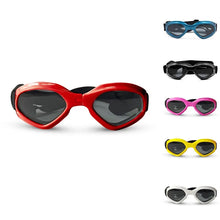 Pets Wear Sunglasses