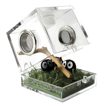 Small Reptile Feeding Box