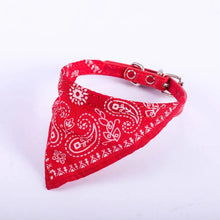 Adjustable Pet Collar Scarf