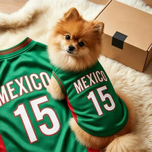 Quick-Dry Dog Football Jersey