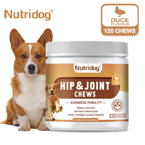 Hip and Joint Supplement for Dogs