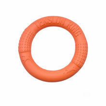 Floating Dog Training Disc