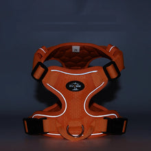 Pet Reflective Nylon Vest Harness