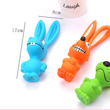 Soft Rubber Squeaky Toys