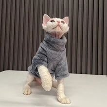 Winter Hairless Cat Sweater & Warm Clothes