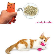 Catnip Cat Toy with Rustle Sound Plush Pillow