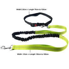 Hands-Free Reflective Dog Leash