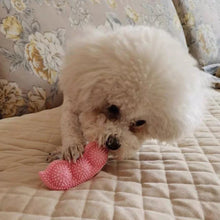 Newest Pet Teether Chew Toys