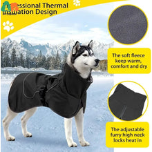 Waterproof Dog Jacket with Fleece Lining