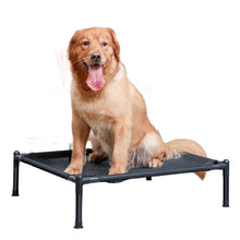 Elevated Folding Pet Bed