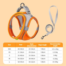 Adjustable Pet Harness and Lead Set