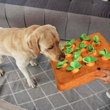 Carrot Inspired Pet Toys