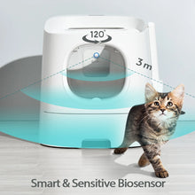 DownyPaws 4000mAh Cat Litter Odour Purifier