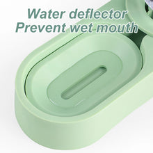 Rabbit Food and Water Bowl