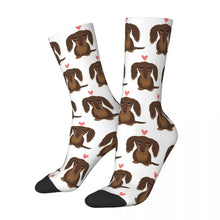 Cute Printed Dachshund Wiener Long Socks