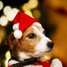 Santa Claus Inspired Hat for Pets