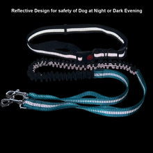 Hands-Free Reflective Dog Leash