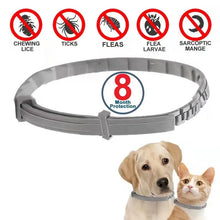 Anti Flea And Tick Collars for Pets
