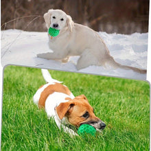 Tough Rubber Dog Chew Ball