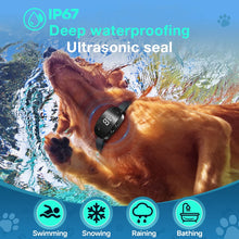 Anti Bark Vibration Collar