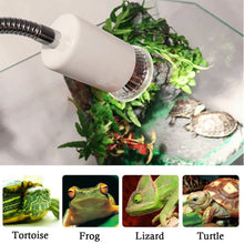 Reptile UVA UVB Lamp Set