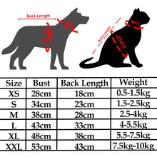 Ultra Thin Pet Cooling Vest Clothes