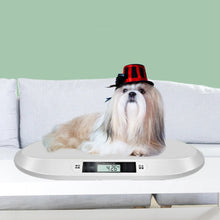 High-Precision Cat & Dog Scale
