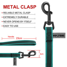 Long Dog Leash for Training