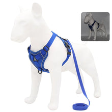No Pull Dog Harness Set