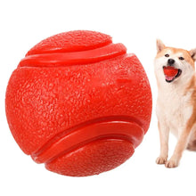 Interactive Dog Ball and Fetch Toy